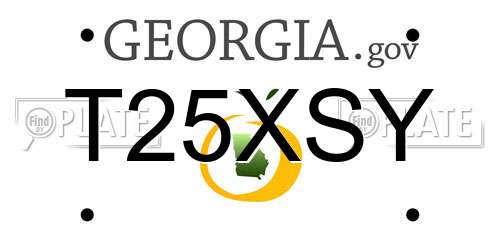 T25XSY Georgia License Plate