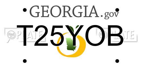 T25YOB Georgia License Plate