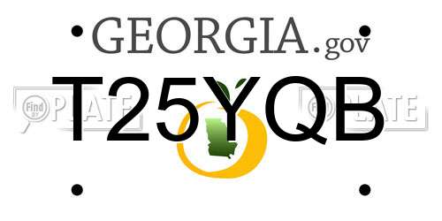 T25YQB Georgia License Plate