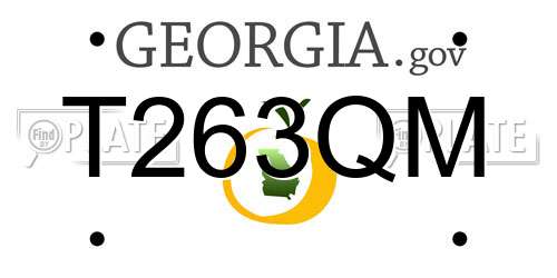 T263QM Georgia License Plate