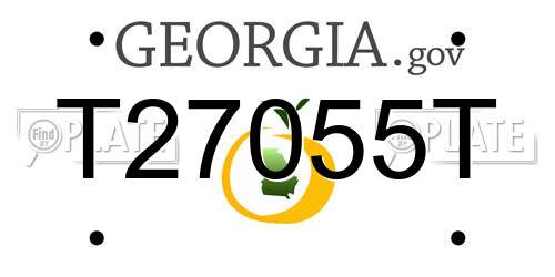 T27055T Georgia License Plate