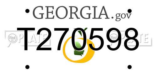 T270598 Georgia License Plate