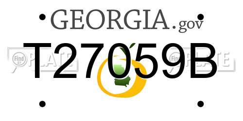 T27059B Georgia License Plate