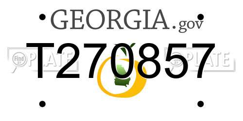 T270857 Georgia License Plate