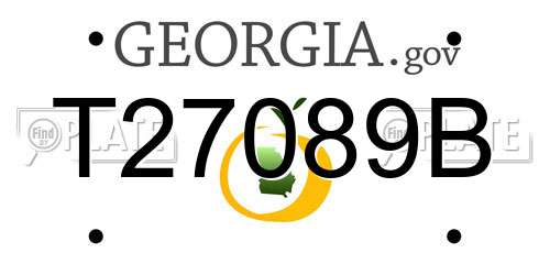 T27089B Georgia License Plate