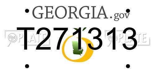 T271313 Georgia License Plate