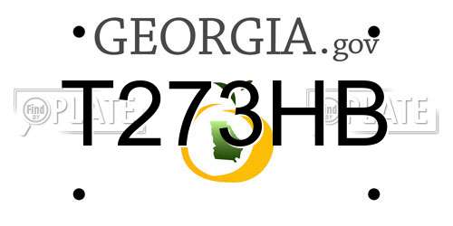 T273HB Georgia License Plate