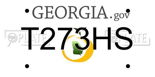 T273HS Georgia License Plate