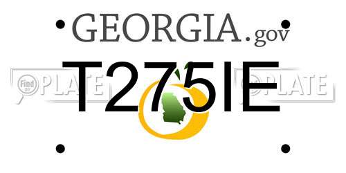 T275IE Georgia License Plate
