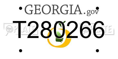 T280266 Georgia License Plate