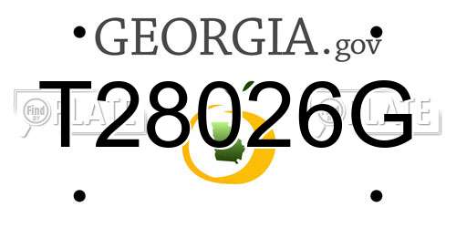 T28026G Georgia License Plate