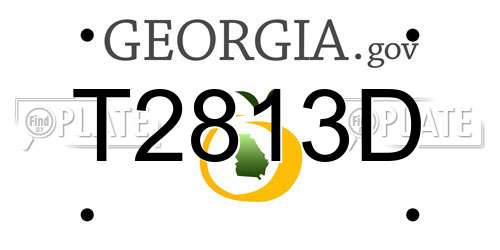 T2813D Georgia License Plate
