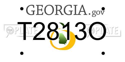 T2813O Georgia License Plate