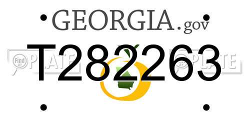 T282263 Georgia License Plate