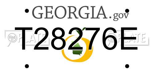 T28276E Georgia License Plate