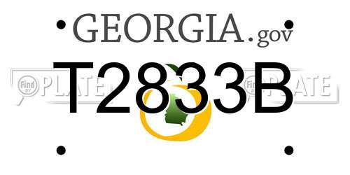 T2833B Georgia License Plate