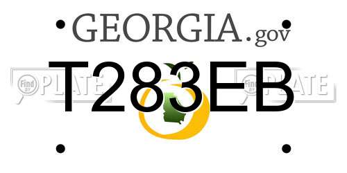 T283EB Georgia License Plate