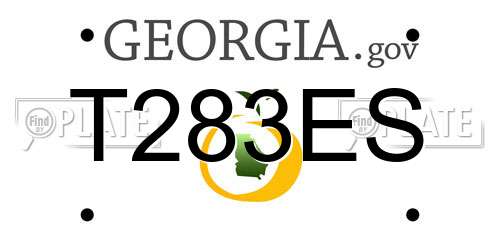 T283ES Georgia License Plate