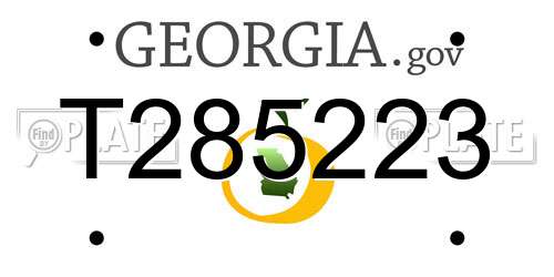 T285223 Georgia License Plate