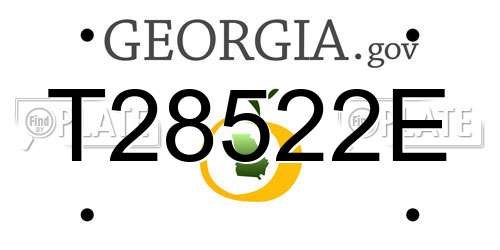T28522E Georgia License Plate