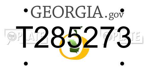 T285273 Georgia License Plate
