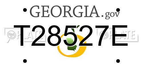 T28527E Georgia License Plate