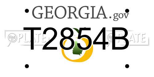T2854B Georgia License Plate