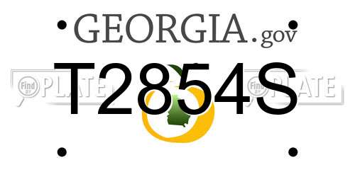 T2854S Georgia License Plate