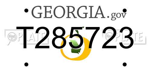 T285723 Georgia License Plate