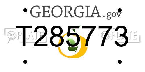 T285773 Georgia License Plate