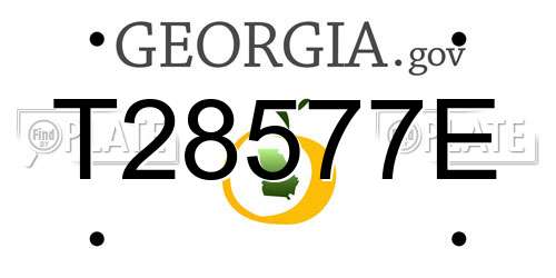 T28577E Georgia License Plate