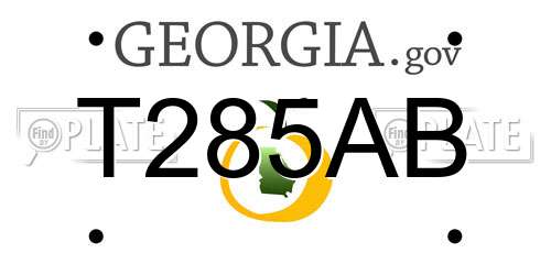 T285AB Georgia License Plate