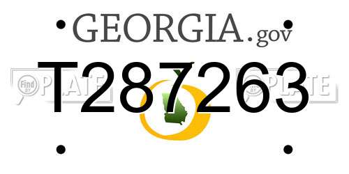 T287263 Georgia License Plate