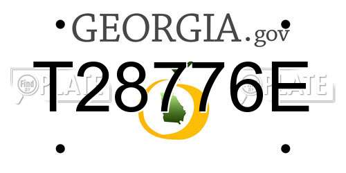 T28776E Georgia License Plate