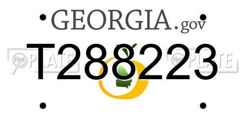 T288223 Georgia License Plate