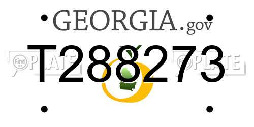 T288273 Georgia License Plate