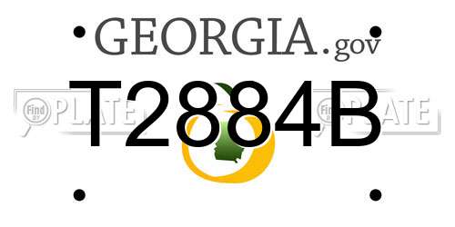 T2884B Georgia License Plate