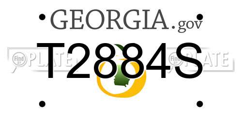 T2884S Georgia License Plate