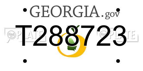T288723 Georgia License Plate