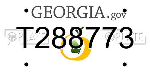 T288773 Georgia License Plate