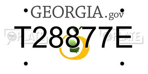 T28877E Georgia License Plate