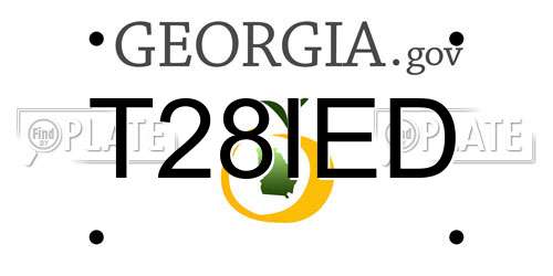 T28IED Georgia License Plate
