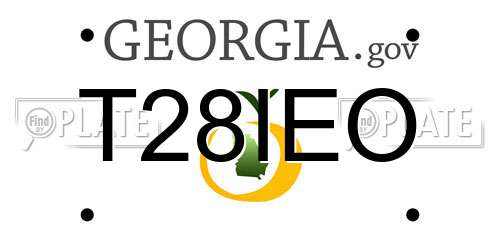 T28IEO Georgia License Plate