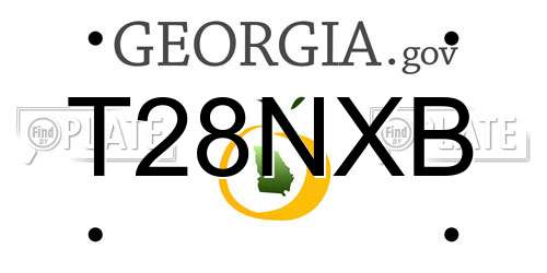 T28NXB Georgia License Plate