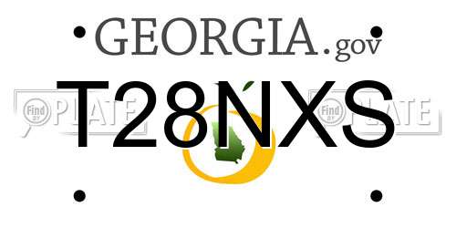 T28NXS Georgia License Plate