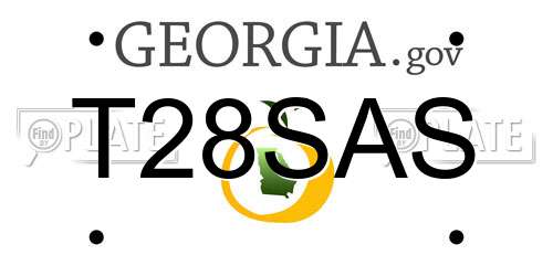 T28SAS Georgia License Plate