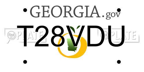 T28VDU Georgia License Plate