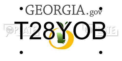 T28YOB Georgia License Plate