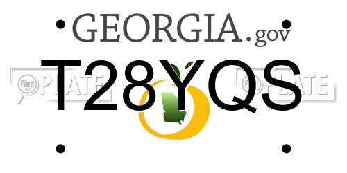 T28YQS Georgia License Plate