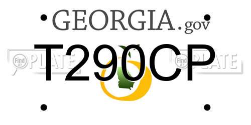 T290CP Georgia License Plate